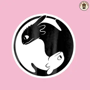 Toothless and Light Fury Yin Yang Sticker, Vinyl Sticker from How to Train Your Dragon, Night and Light Fury Symbol for Laptop Decor
