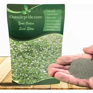 Outsidepride Perennial White Dutch Clover Seed - 2 lbs. Nitrocoated, Inoculated Clover Seeds for Lawn Alternative, Erosion Control, Food Plots, Ground Cover, & Pasture Mixtures in USDA Zones 3-10