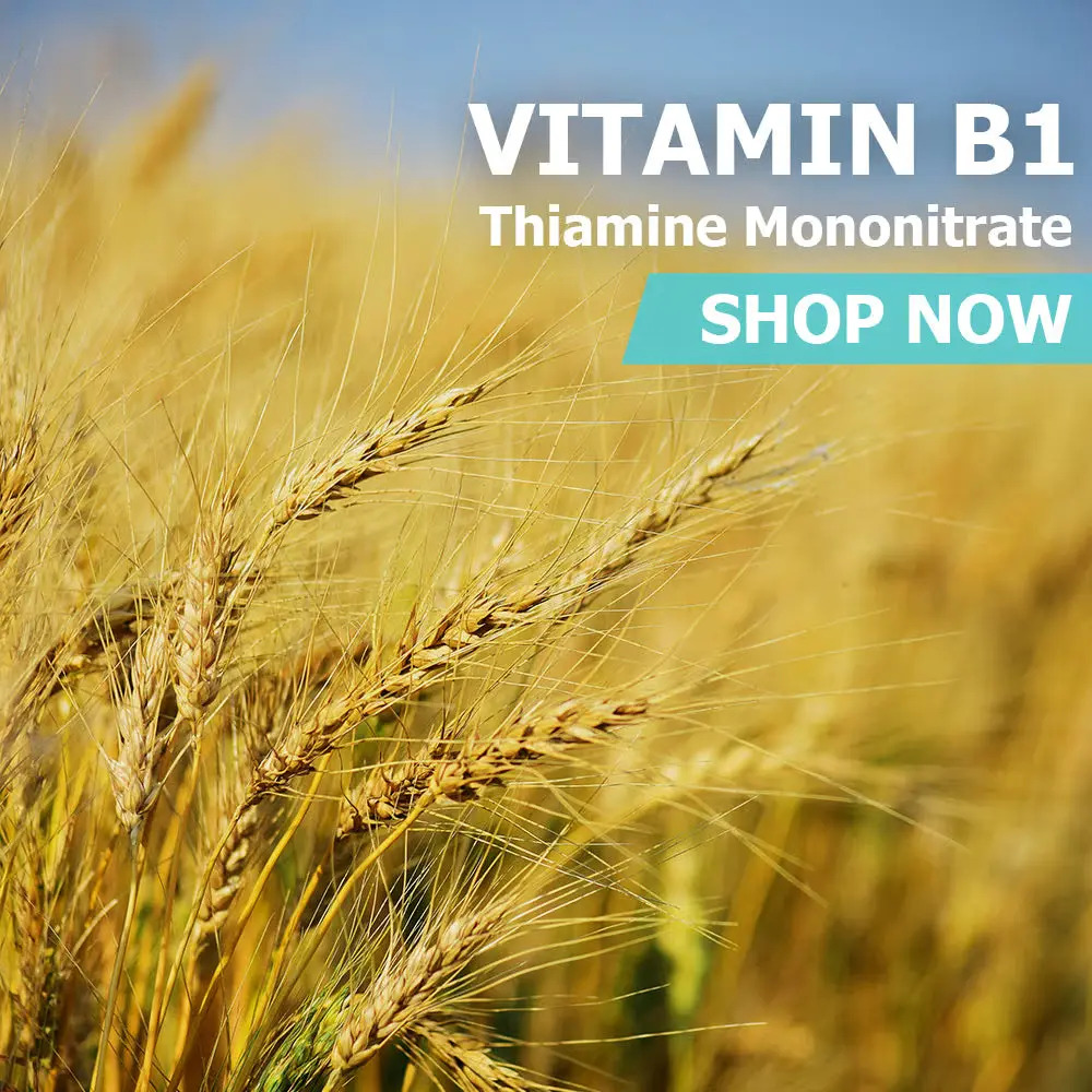 Thiamine Mononitrate (Vitamin B1) Healthcare Dietary Supplement Fitness