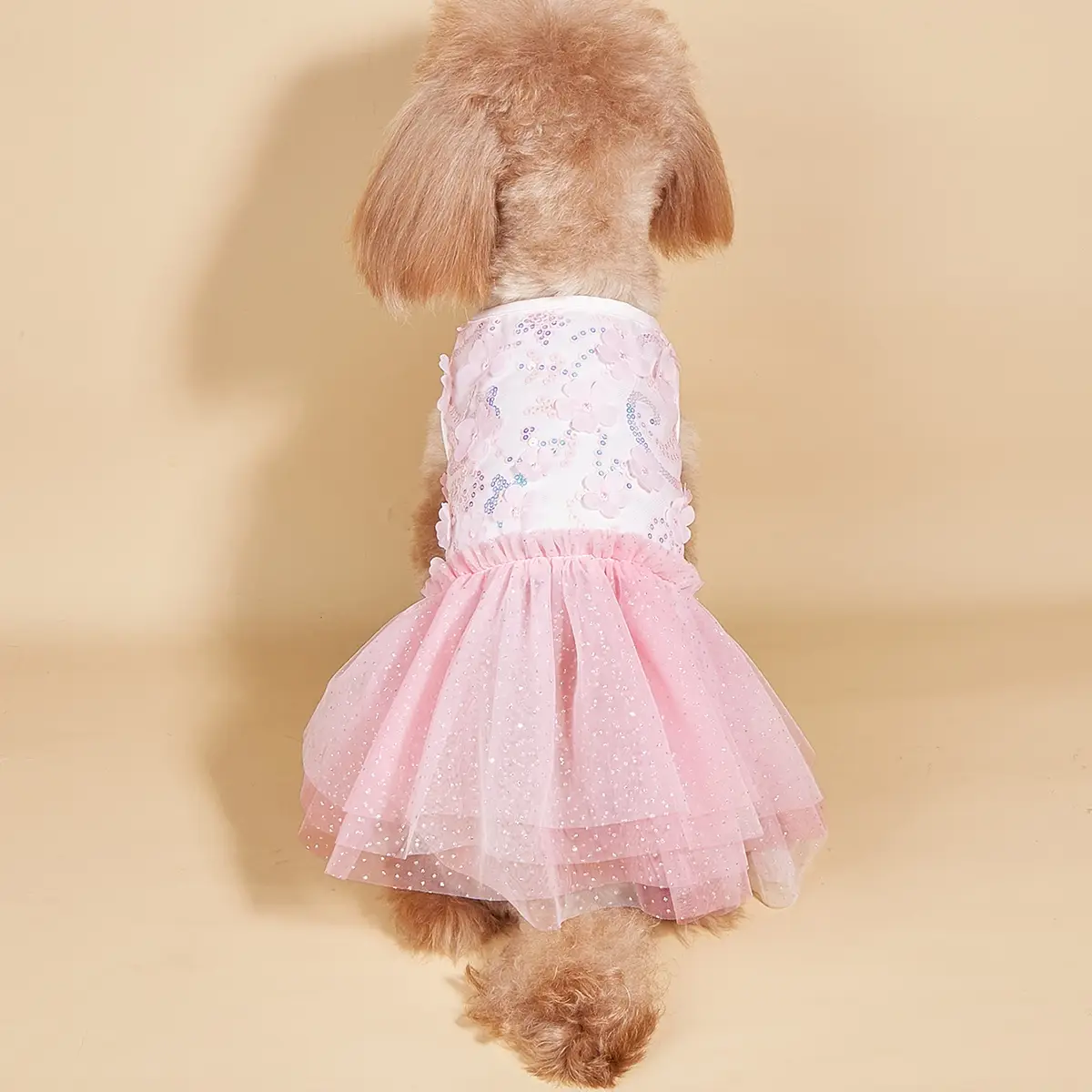 Slogan Graphic Bow Decor Pet Dress, Cute Summer Pet Clothes for Different Body Types Dogs & Cats