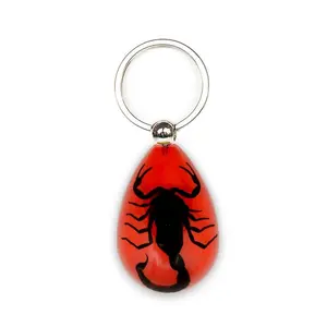 Red Pendant Keychain with Real Black Scorpion