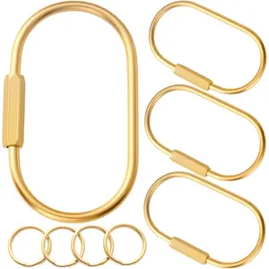 Rings, Purse Bag Charms for Handbags, Screw Lock Key Organizer, Carabiner Keychain Clip for Keys
