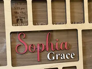 My First Year Photo Frame, Personalized Baby Picture Frame, Newborn Keepsake, Customizable Gift, Newborn Keepsake, Baby Shower Gift, Baby