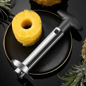 Stainless Steel Pineapple Cutter – Tool for Making Pineapple Rice, Pineapple Peeler, Creative Household Multifunctional Gadget