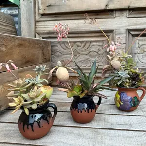 Rare Succulent Clay Potted Plants Set of 3 - Unique Decorative Plants in Handmade Clay Pots for Home Decor