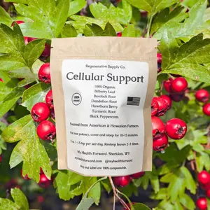 Cellular Support Organic Herbal Tea - Loose Leaf Tea for Oxidative Stress Protection