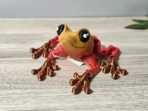 Red orange tree frog