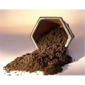 212 MAIN Bonsai Conifer Soil Blend, 2 lbs Outdoor Garden Soil for Juniper Trees and Evergreen Trees