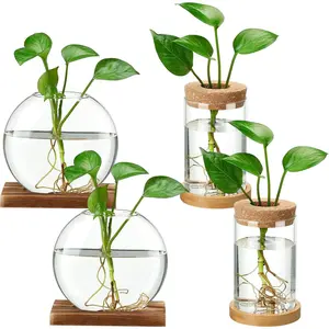 4 count  Propagation Stations Separated Desktop  Terrarium Glass Planter Vase with Wooden Lid and  Stand for Growing Hydroponic Home Office Tabletop Decoration (Novelty Style)
