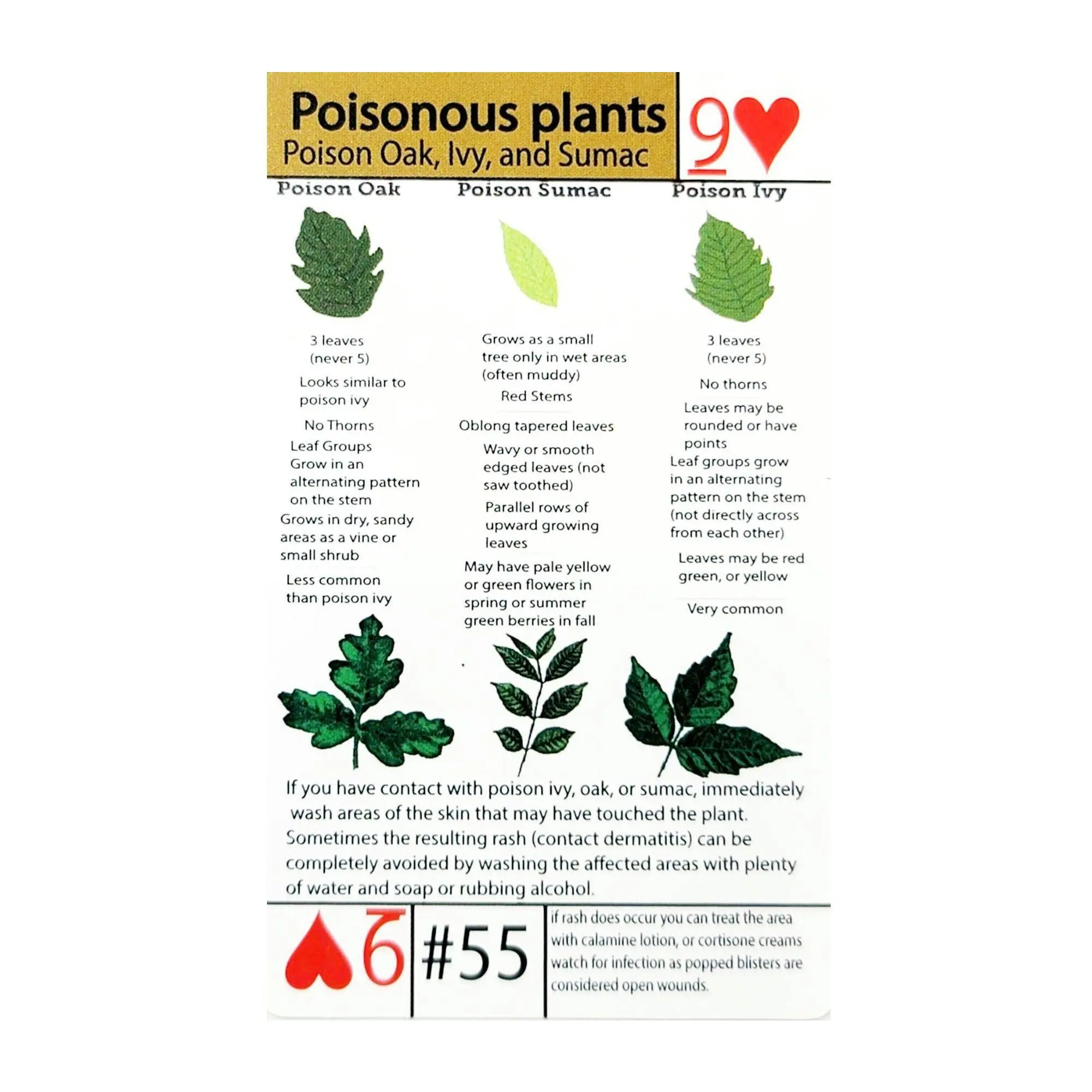 Tip Card #55 Poisonous Plant Identification