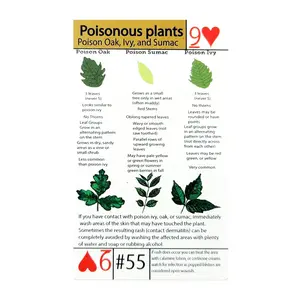 Tip Card #55 Poisonous Plant Identification