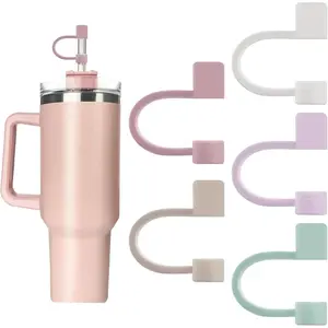 0.4in/10mm Diameter Silicone Straw Covers Cap Compatible with Stanley 20 30&40 Oz Cup, Dust-Proof Straw Caps for Water Bottle (Cup and Straws Not Included)