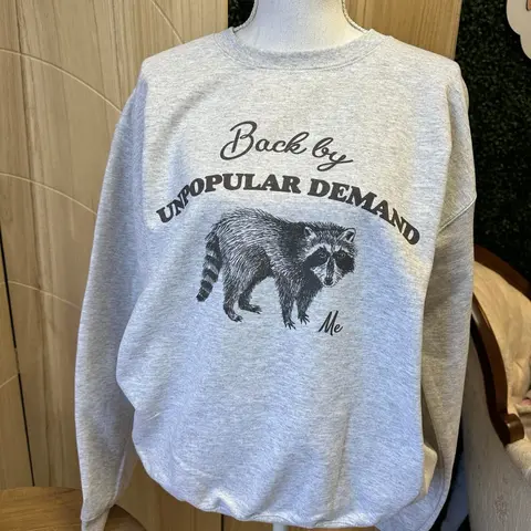 Women's Ash Gray Baggy Round Neck Graphic Print Raccoon Hoodie - Back By Unpopular Demand Women's Top