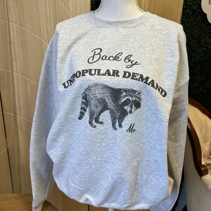 Women's Ash Gray Baggy Round Neck Graphic Print Raccoon Hoodie - Back By Unpopular Demand Women's Top