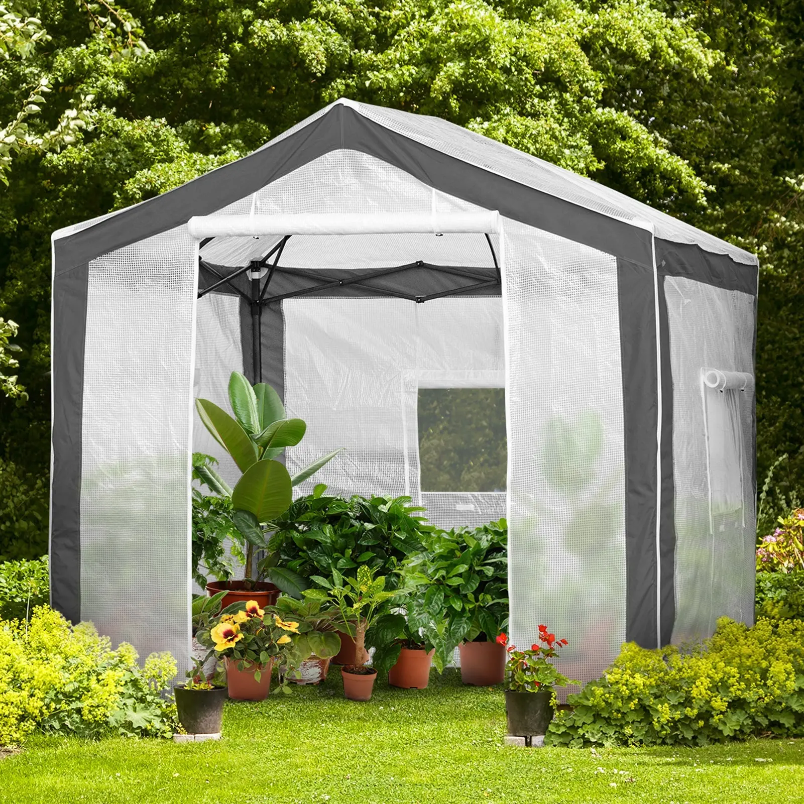 8x8 Walk In Pop Up Greenhouse