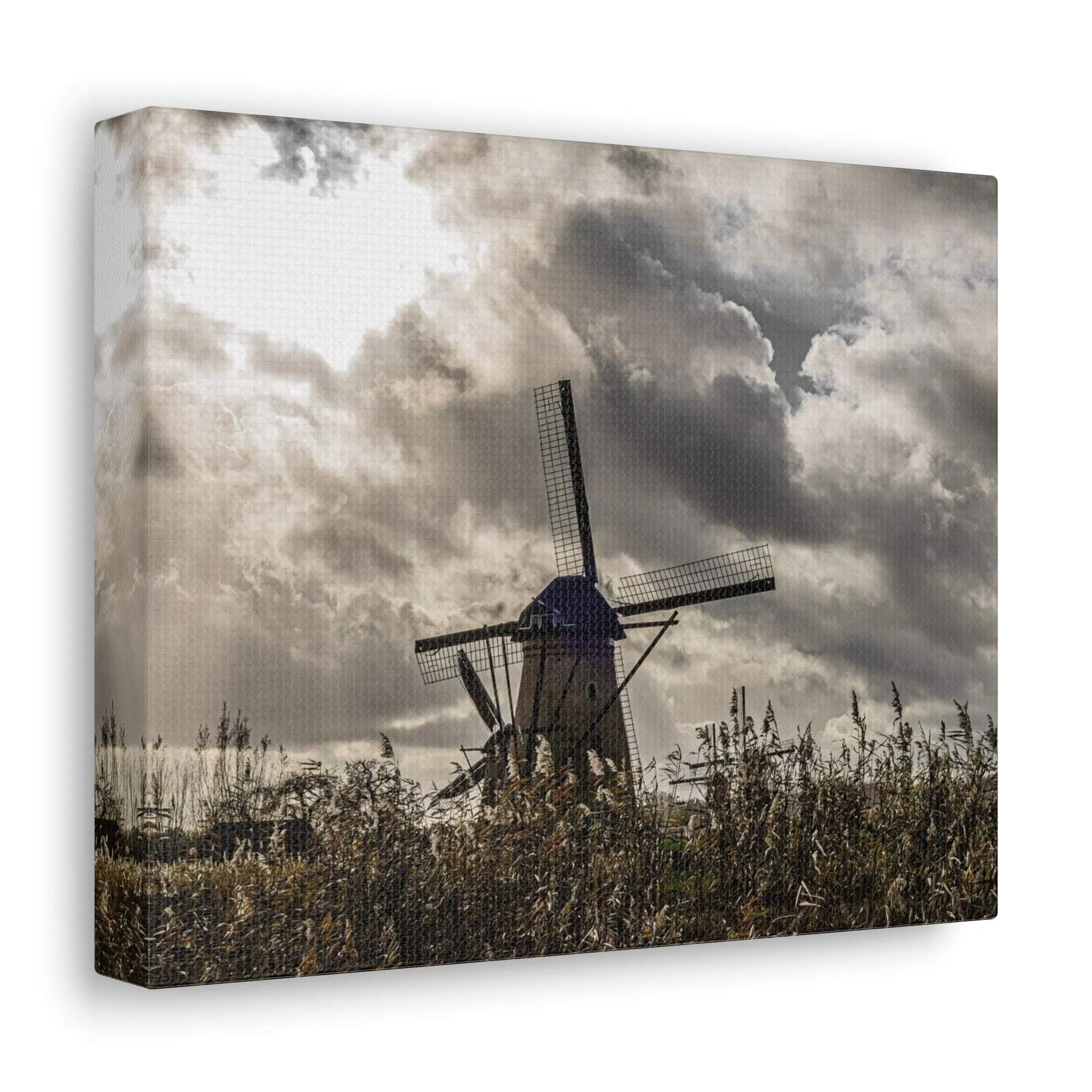 Canvas Gallery Wraps