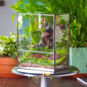 NCYP Closed Terrarium with Door, Tin and Glass, 7.8 x 5.1 x 9.8 Inches, Terrarium Only