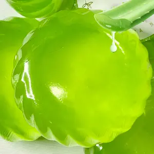 Aloe Vera Handmade Bar | Natural Artisan Decorative Bar
