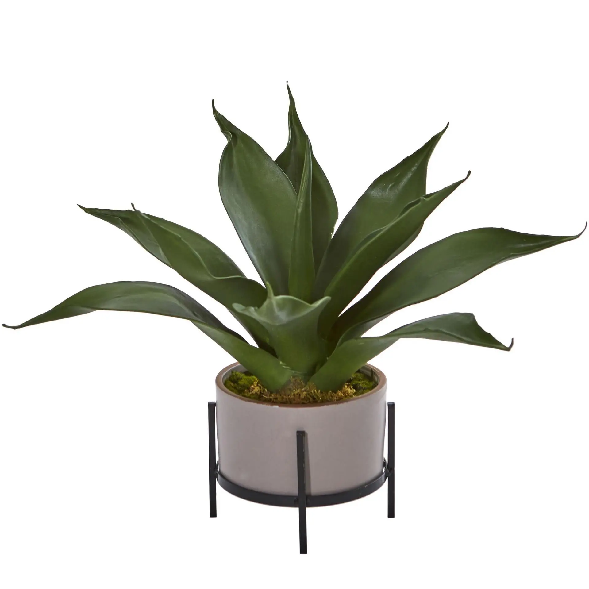 14" Agave Succulent in Decorative Planter by Nearly Natural 14" Agave Succulent in Decorative Planter by Nearly Natural