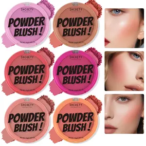 SHCOETY 6-color contouring powder matte long-lasting waterproof oil-control loose powder non-sticking non-removing makeup foundation