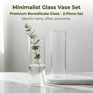 2-Piece Minimalist Wall-Mounted Borosilicate Glass Vase. Clear cylindrical design with side holes, modern style, perfect for home, office and various decorations.