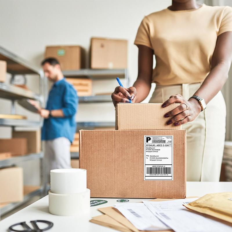 PL80E Bluetooth Thermal Shipping Label Printer, Wireless 4x6 Shipping Label Printer for Small Business,Support iOS, Android, Windows, Mac.