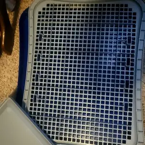 HalloStark Pee Pad Holder, Indoor Potty Tray for Puppy and Small Size Dog with Pee Wall, Non-Skid Feet（Blue）