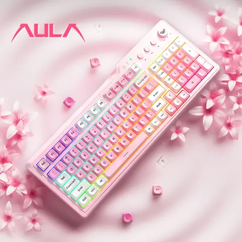 AULA F3099 three-mode keyboard, wired/wireless connection, 99-key layout, lighting effect, ergonomic, compatible with Windows/Mac, daily office or game use, Computer Keyboards