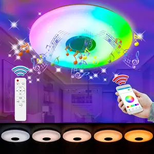 RGB LED Bluetooth Ceiling Light DSP Music Melody Player BT APP Control 256Colors Dimmable 100-240V Smart Timer Switch Memory Function Bedroom Living Room Colorful Atmospheric Night Lamp Festival Party Mlticolor Mood Rhythm Decoration Lighting with Remote
