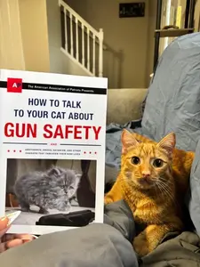 American Association of Patriots Presents How to Talk to Your Cat About Gun Safety & Abstinence Drugs Satanism Other Dangers That Threaten Their Nine Lives Educational Book for Cat Owners