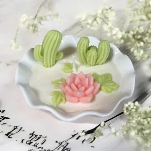 Cactus Gardens candle, desk plant, Succulent garden, Handmade candle, coconut essence