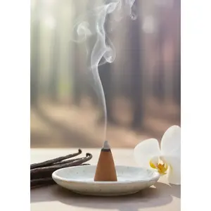 Vanilla Incense Cones