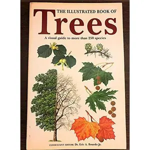 USED-The Illustrated Book of Trees: A Visual Guide to More Than 250 Species by eric-a-bourdo (Paperback)