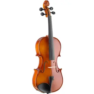Stagg Viola