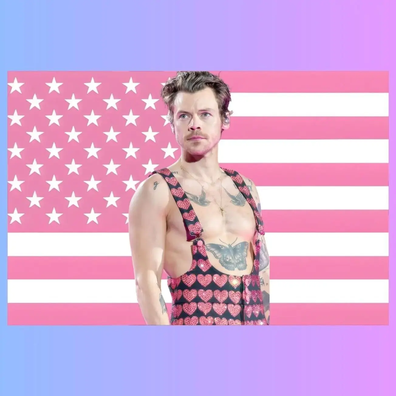 Harry Styles Pink US Wall Tapestry Flag, Pop Music Wall Art, Singer Bedroom Decor, Celebrity Fan Banner