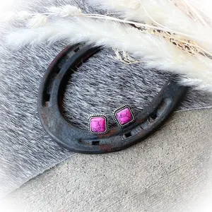 Small Western Stone Stud Earrings - Pink