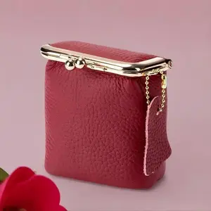 Vintage Genuine Leather Mini Handbag Organizer with Secure Kiss Lock 1 Count Spacious Coin Earphone Lipstick Case Travel Cosmetic Pouch Makeup Organizer Pouch