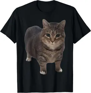 100% Cotton Oiia Oiia Cat Funny Spinning Cat Meme T-Shirt