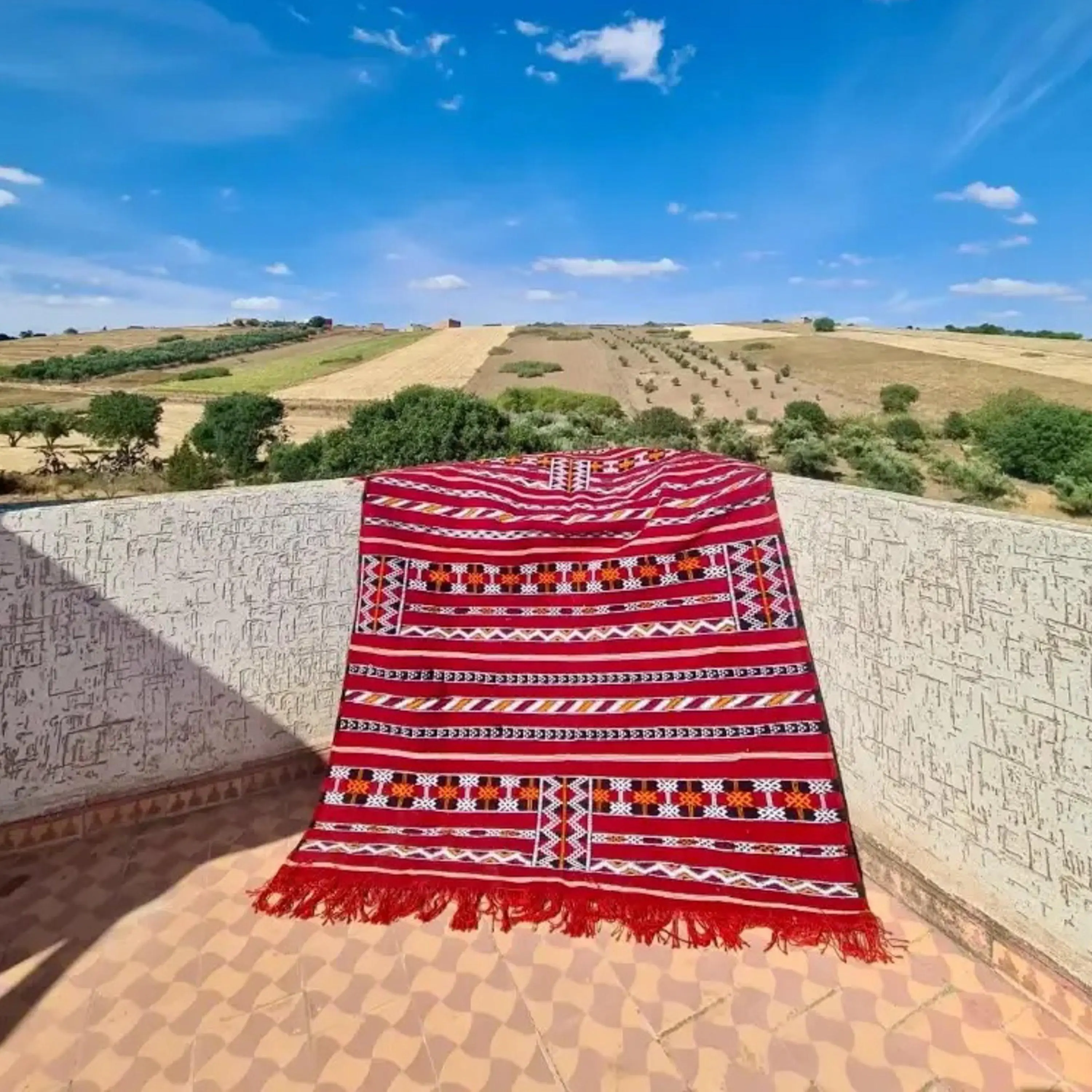 Handmade Moroccan Berber Wool Rug - Red Passion