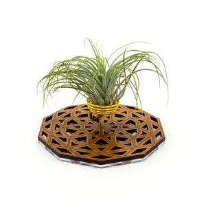 Wire Air Plant Holder 4 - Unique Plant Display Stand // Geometric Modern Wood Home Decor Table Shelf Desk Plant Lover Gift Idea