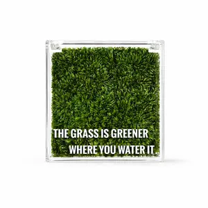 DIY Mini Moss Landscape Plant - Cute Mini Animal Figurine, Clear Acrylic Box Design, No-Maintenance Green Home Decor, Ideal Small Desk Ornament, Perfect Gift for Home Supplies