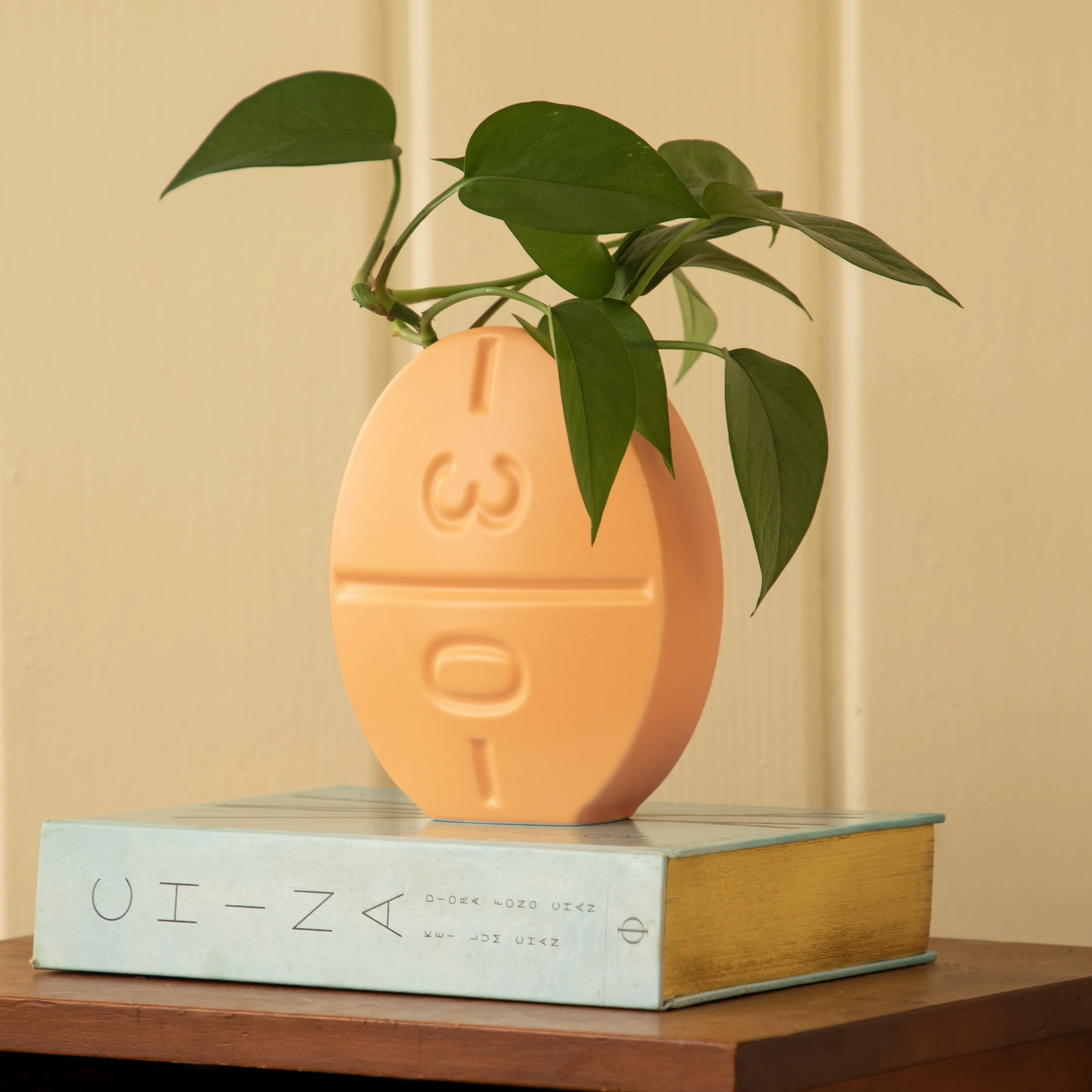 Focus Flower Vase - Novelty Flower Vase - Dopamine Decor - Ceramic Vases - Funky, Retro, Quirky, Unique Home Decor Aesthetic - Funny Gifts - Living Room Accents - Pots for Plants (Peach)