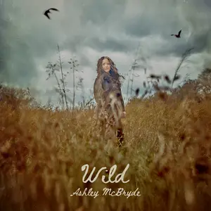 Ashley McBryde - Wild  [VINYL RECORD - LP]