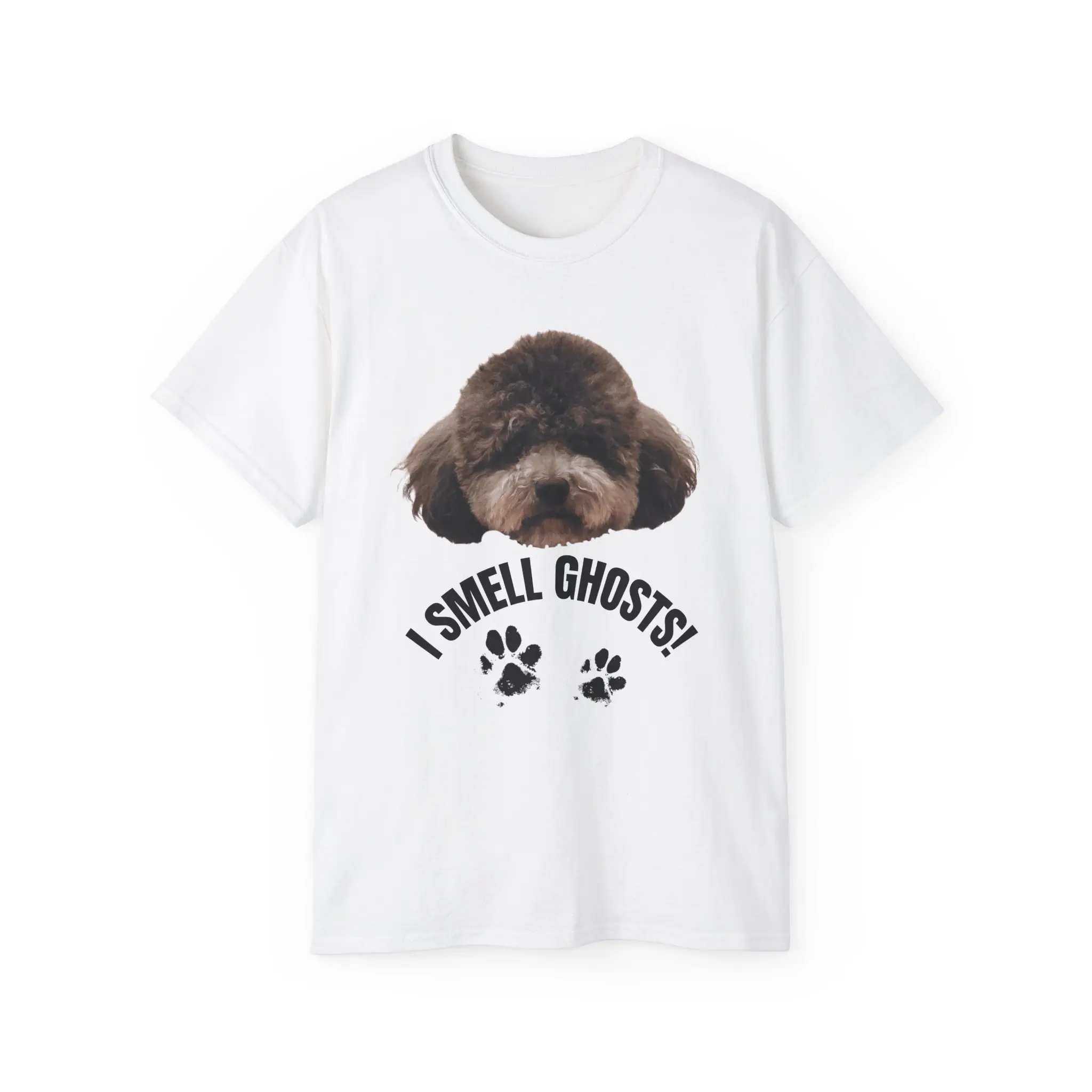 I Smell Ghosts Official Little Sheldon Tee | Tee Will Explore