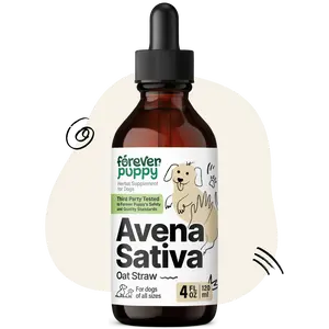 Avena Sativa Extract for Dogs - Oat Straw Herbal Drops for Calm & Relaxation Support - Pet Composure & Calming Care for Dogs w/Liquid Mood Support Supplement - 4 oz
