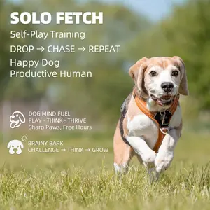 Automatic Pet Dog Ball Launcher with 3 ETPU Durable Balls - Silent Launch, 3 Adjustable Distances (20ft/33ft/46ft), Rechargeable USB Charging Cable for Small and Medium Dogs, Interactive Toy for Dog Intelligence Training and Simulation