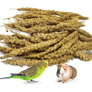 WAGGING WHISKERS Spray Millet Treat Sun-Dried Bird Millet Parakeet Treats for Budgies Finches Cockatiels Parrots Lovebird Hamster Other Pet Birds 0.44LB