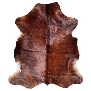 Large Brindle Cowhide Rug E231---5.6x6
