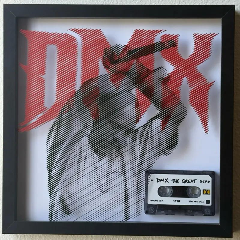 DMX SHADOWBOX