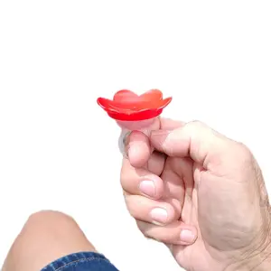 Hummingbird Feeder Ring